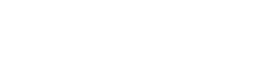 Vassgo